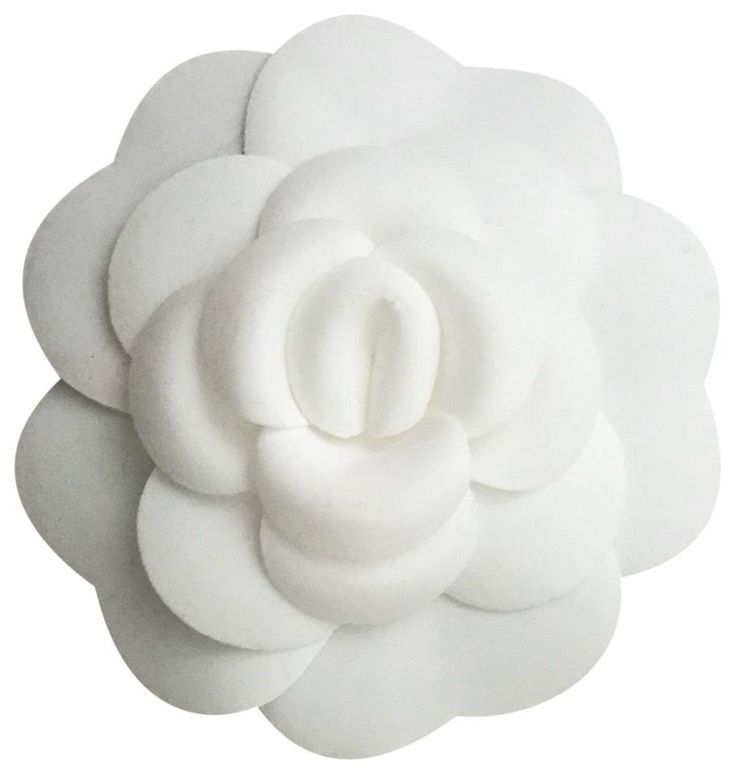 Fleur de Camélia 