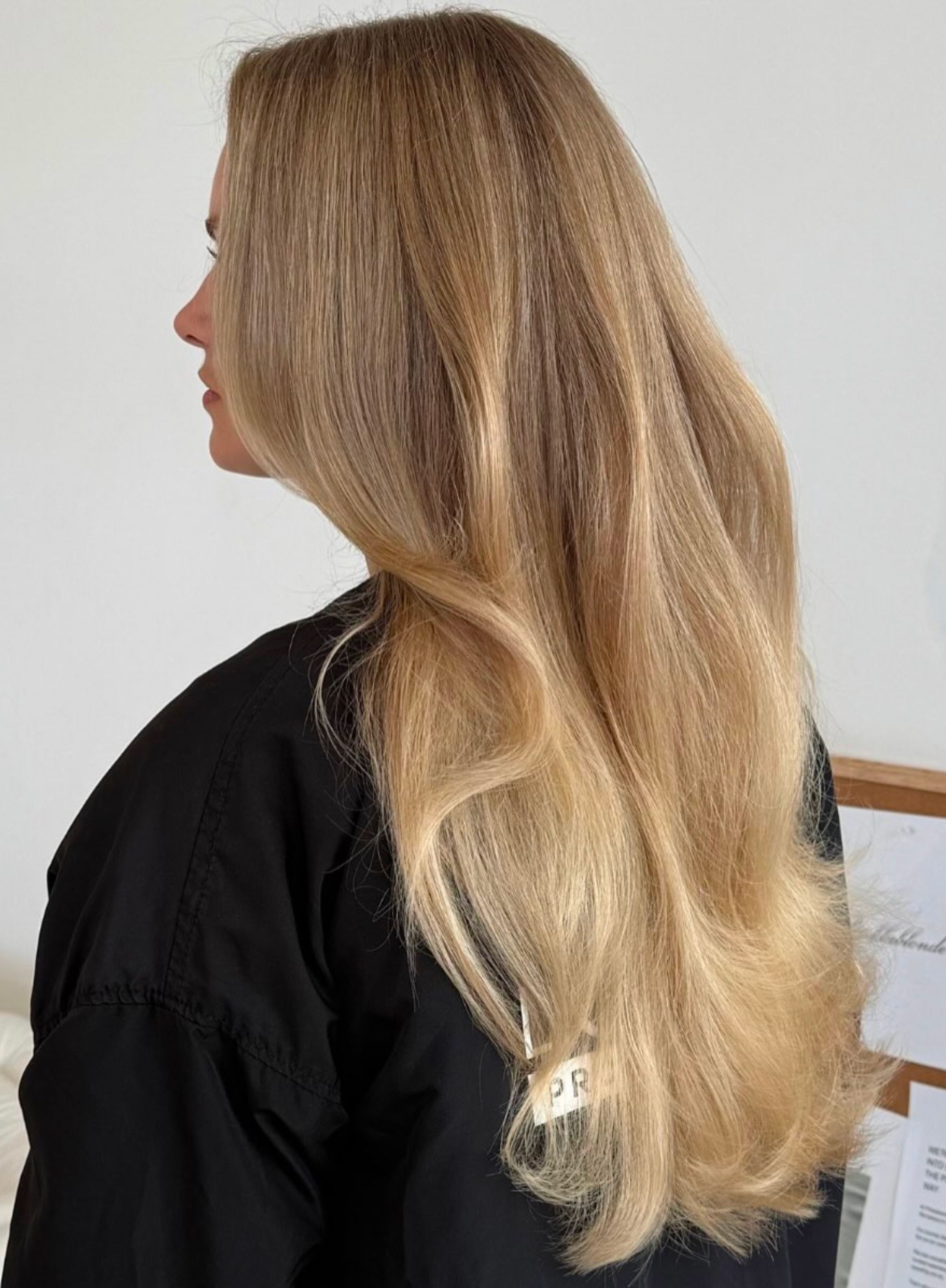 Blonde Edit Collection