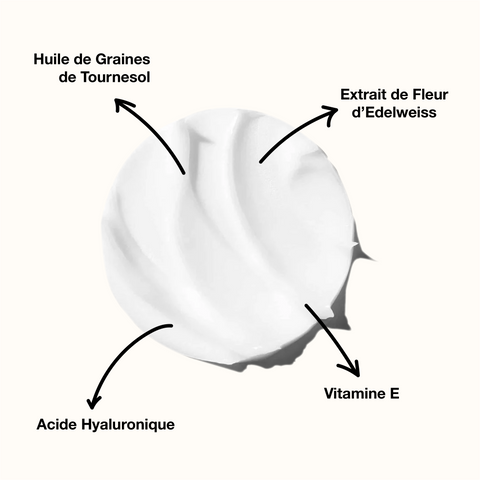 Extrait de Graine de Tournesol