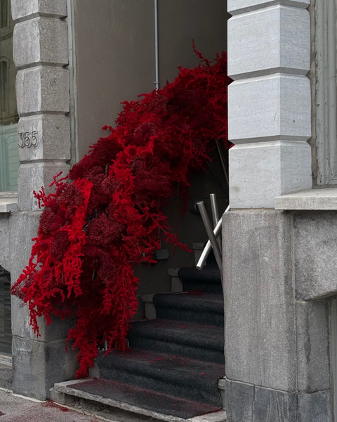 Fleurs rouge devant un magasin 